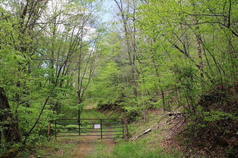 011 gated entrance to neighboring property
