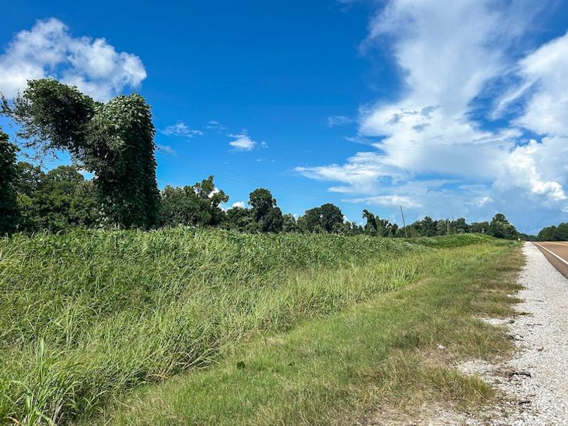 Yazoo Co - 7.3 - Hoffman-24