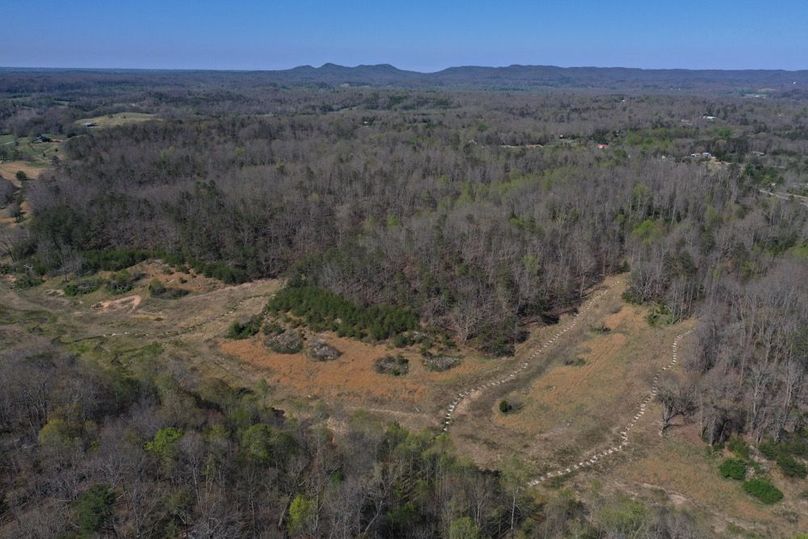 017 aerial drone view in the east part of the property
