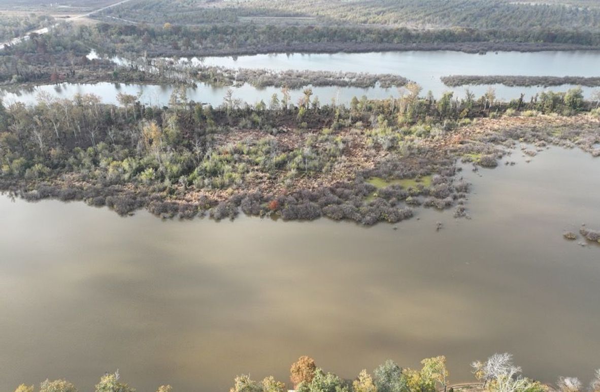 dji_fly_20251120_100122_259_1763735119341_photo