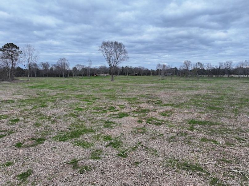 Copy of dji_fly_20260217_144016_0163_1771436900638_photo