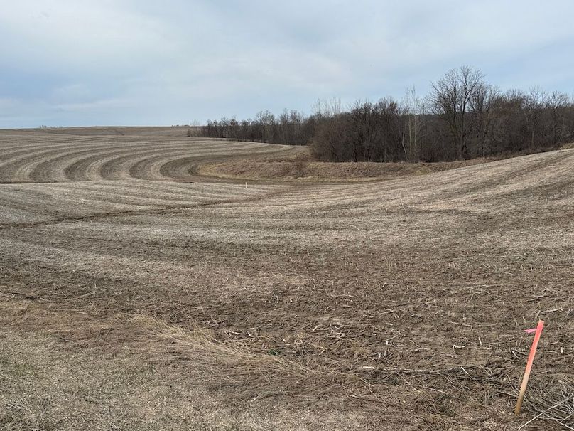 Pepin 4- Final-14JPG