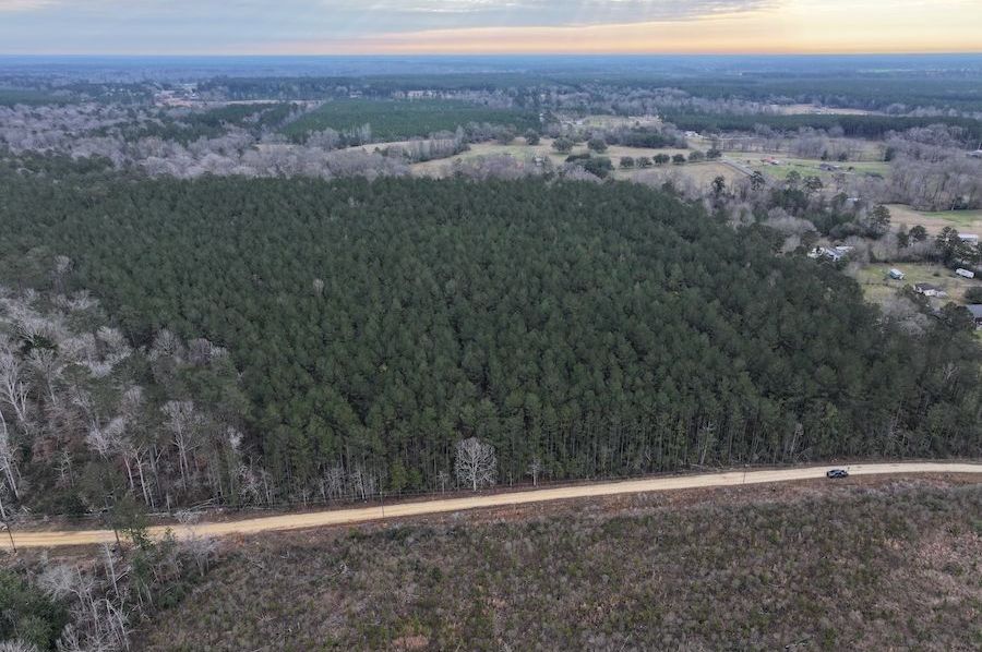 1 dji_fly_20250303_075846_0010_1741021862895_photo