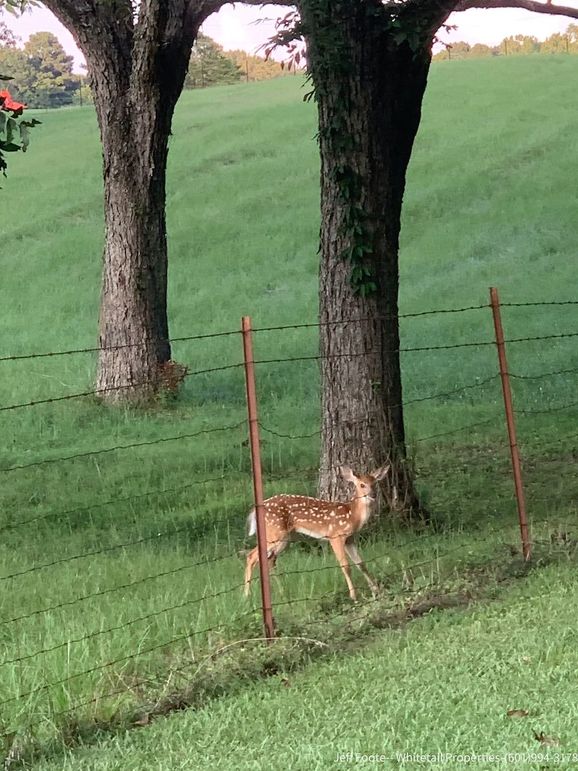 Hinds Co - 39.98 - M Beasley-11