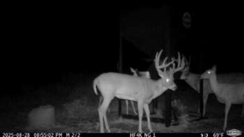 7e3ff46e97055c5fda4ae0f5f1101f12-small