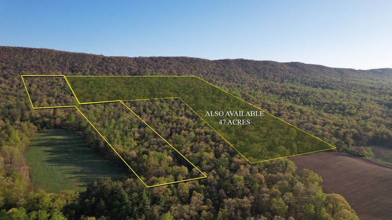 CUMBERLAND 31 (PLUS)