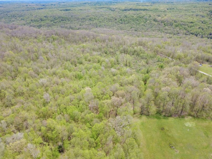 DJI_0272