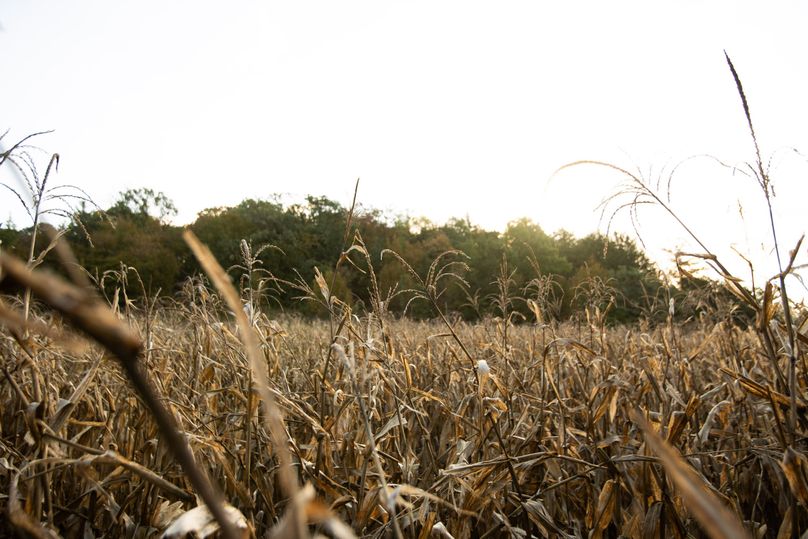 FREMONT CO. IA 158.32_17