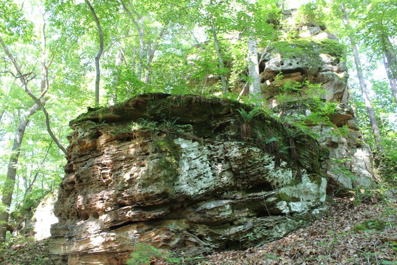 018 the eastern side of the huge rock knob as it leads down the point to the east