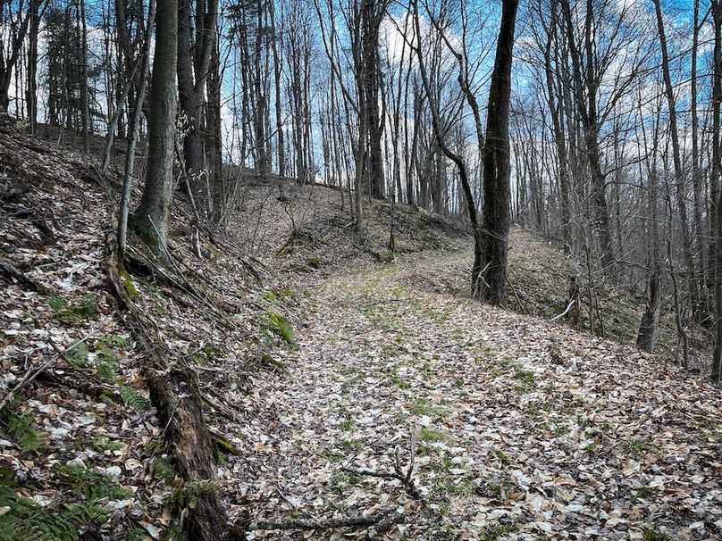 Tioga__NY_109.7_Burris_Photos_85