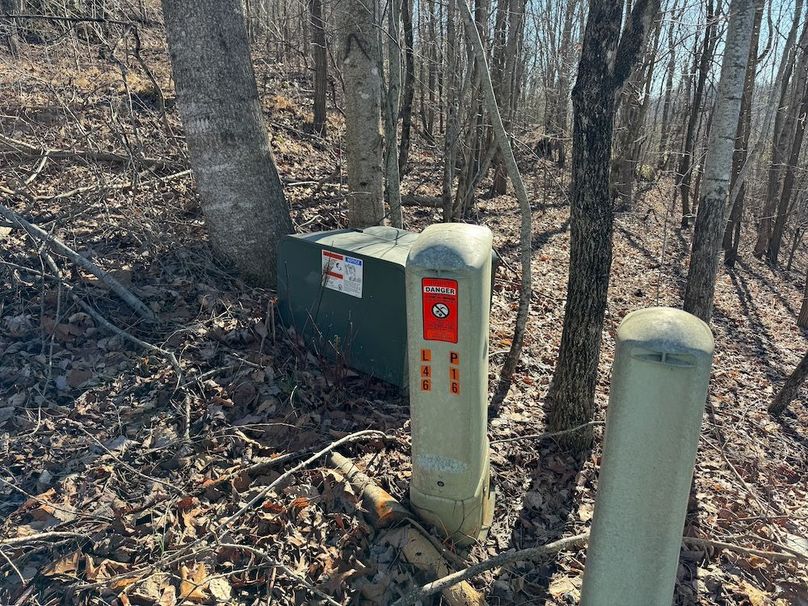 10_Clay 124.76 Fleaback-02