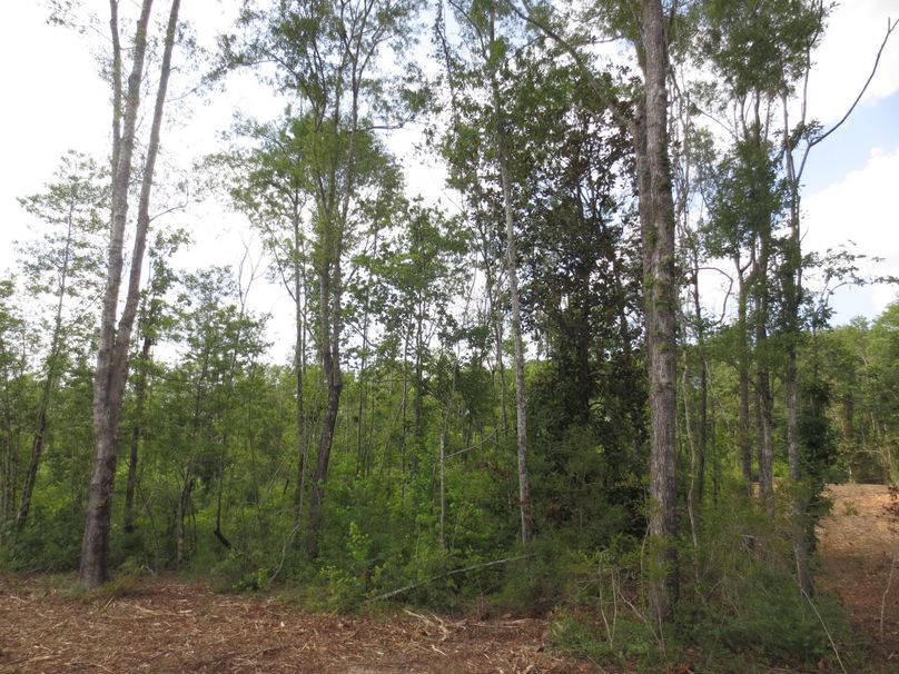 B2651BCD-8E5E-4030-B673-D42B47C43EF0