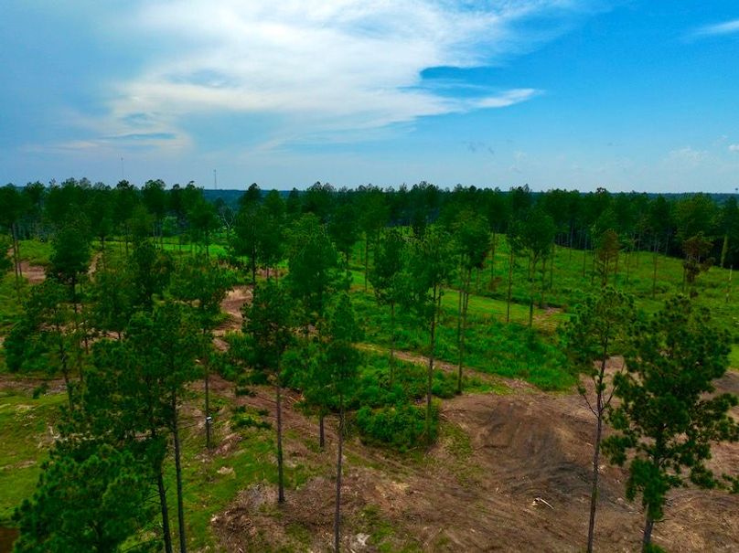 DJI_0071
