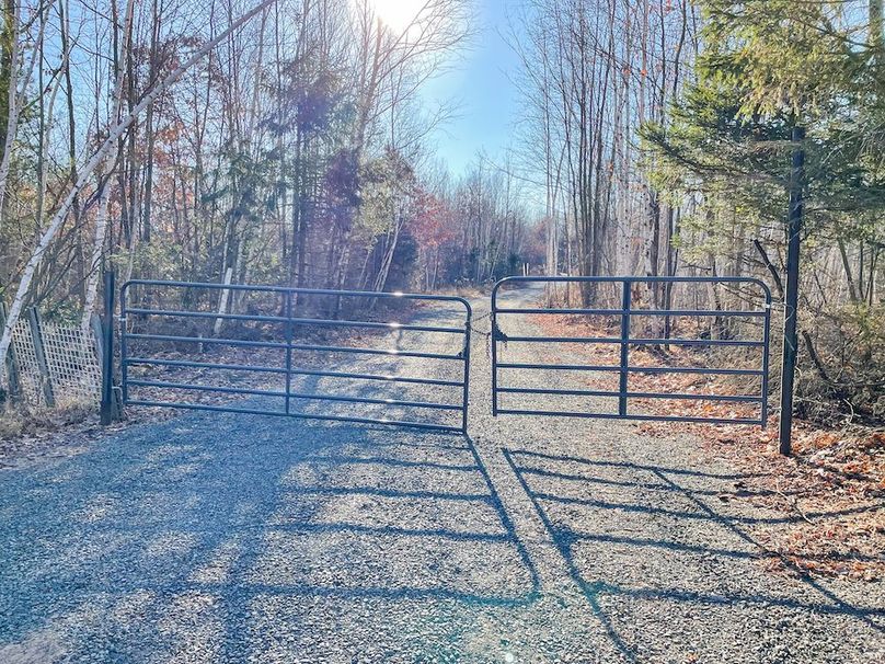 ClarK 160 WILLIAMS -53