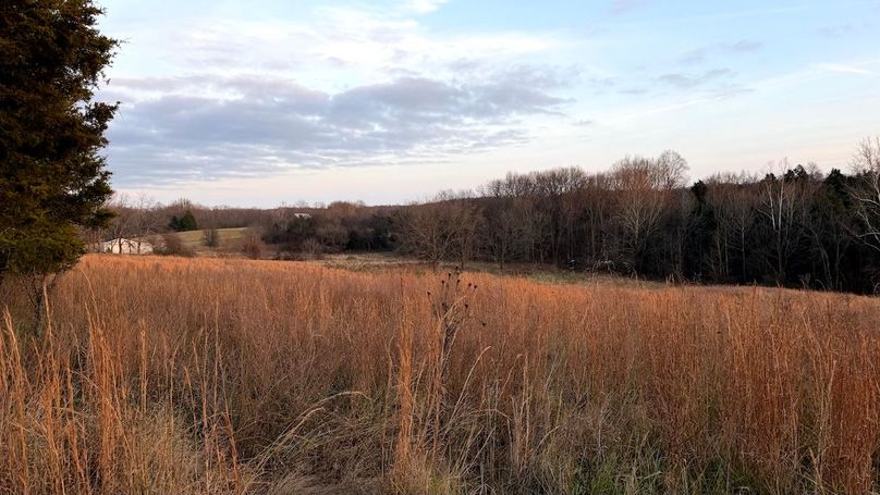 Grayson 48.195 Johnson2