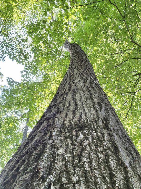 382474599_1543400509820197_5965834093836124150_n