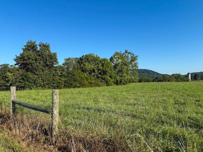 Fleming 32.98 new pic -03