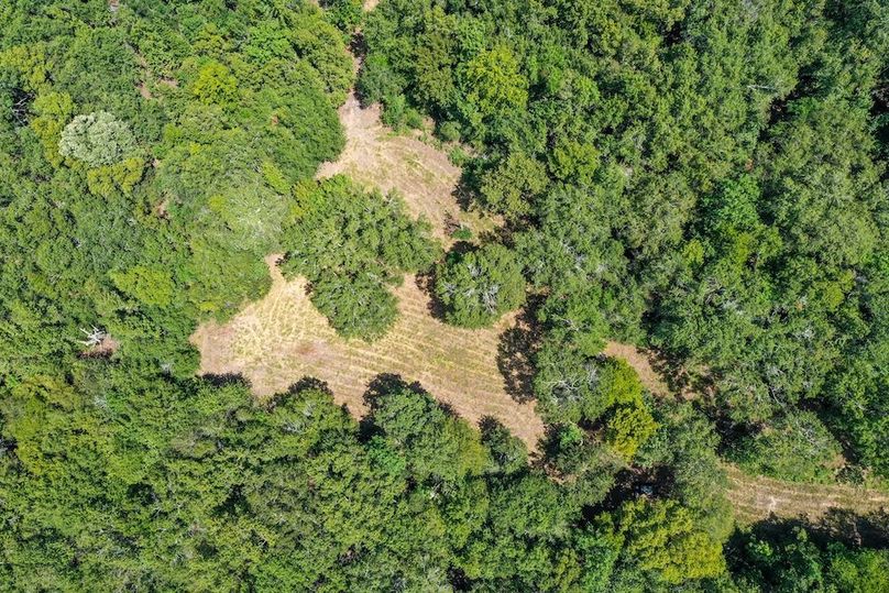 19 Leon Co. 117ac-46