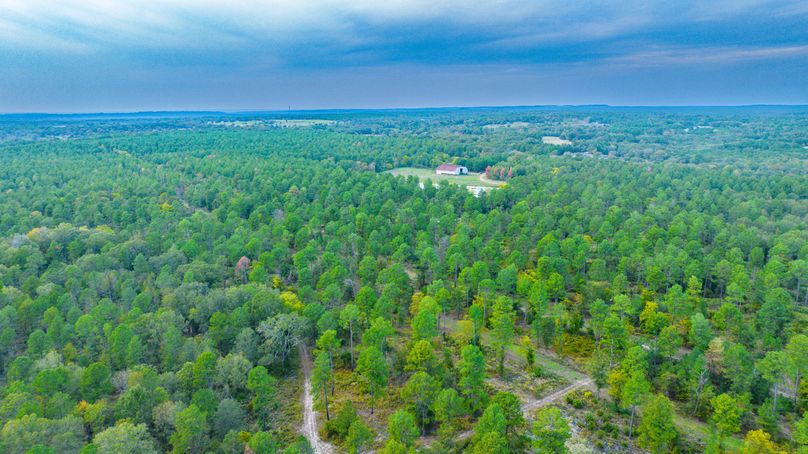 6 Upshur Co 603 ac Weise