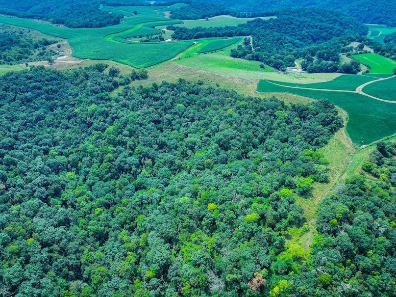 New Albin 8_8 edits-33