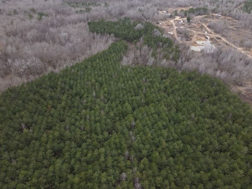DJI_0044
