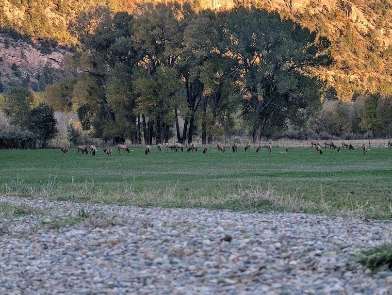 PXL_20251018_235535094 (1)