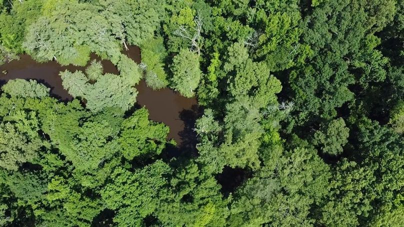 2024-06-01-10-29-57-187