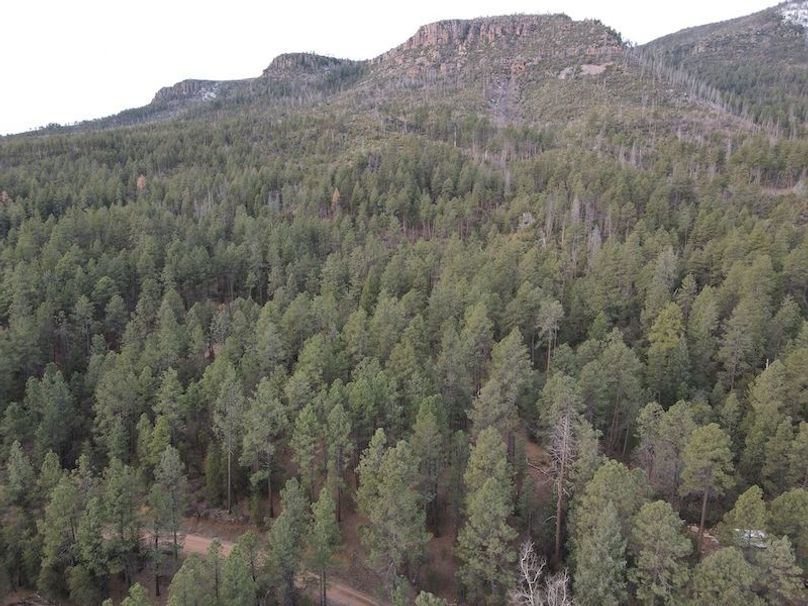 7.dji_fly_20240227_075256_377_1709045814893_photo