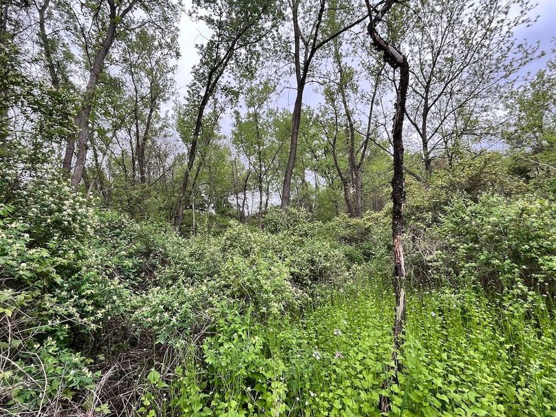 Chemung_3.5_Rouseland Photo 17