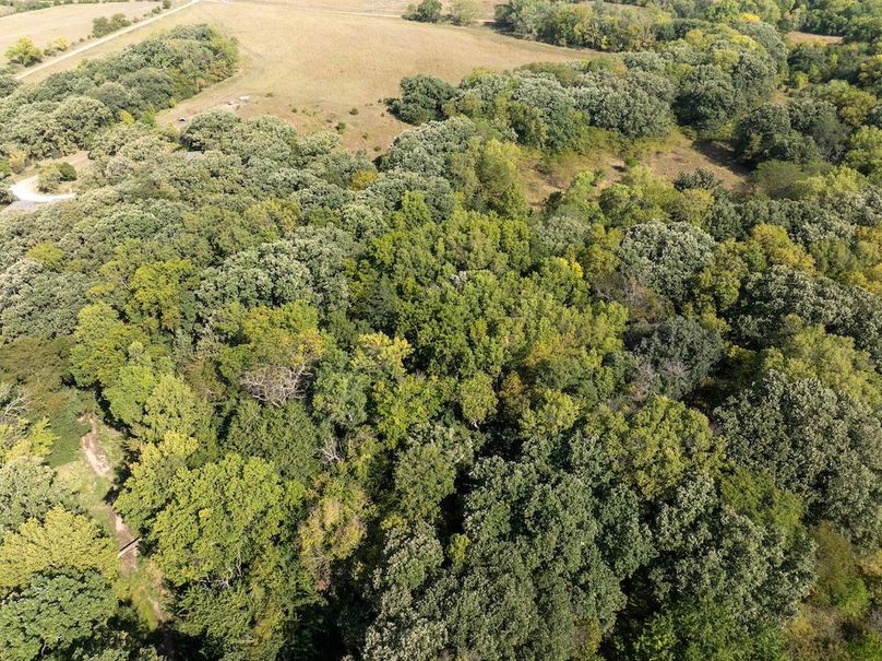 20240913-DJI_20240913110114_0135_D