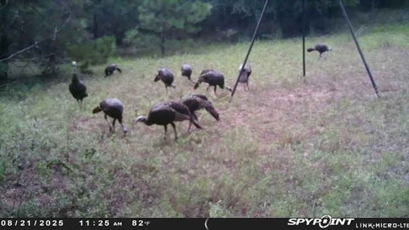 trail cam 5