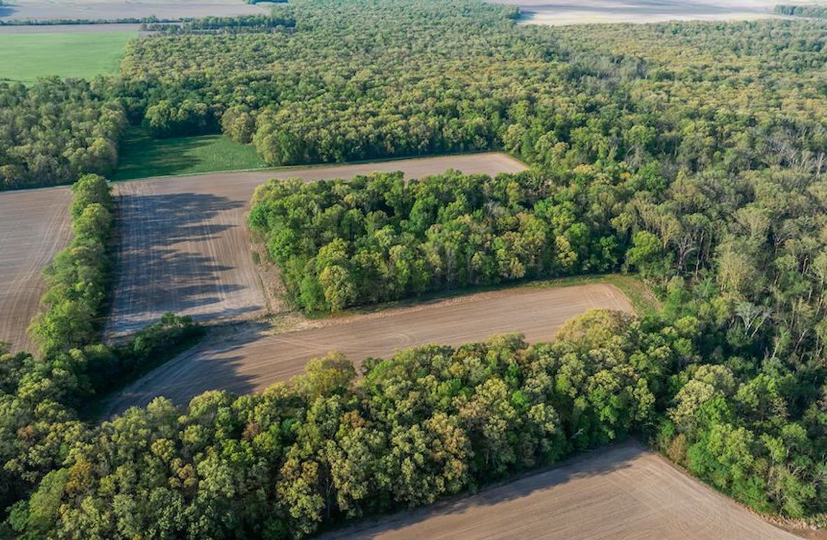 DJI_20260414075314_0004_D