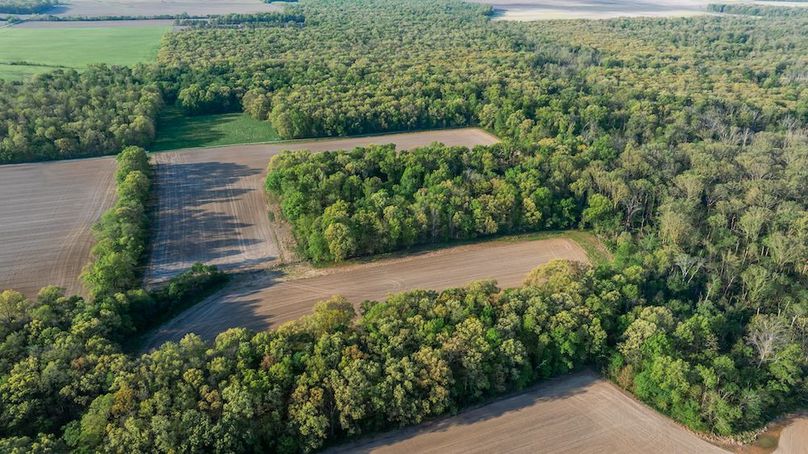 DJI_20260414075314_0004_D