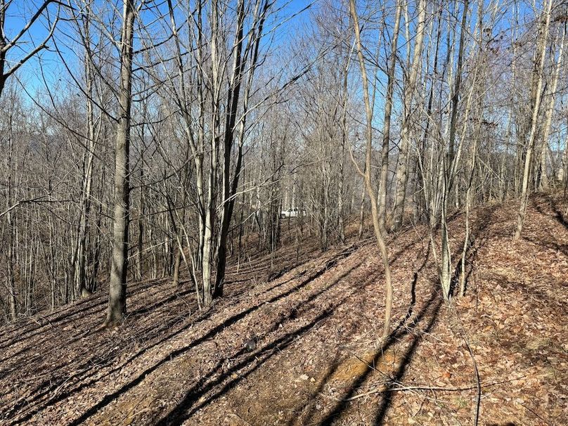 09_Clay 124.76 Fleaback-31