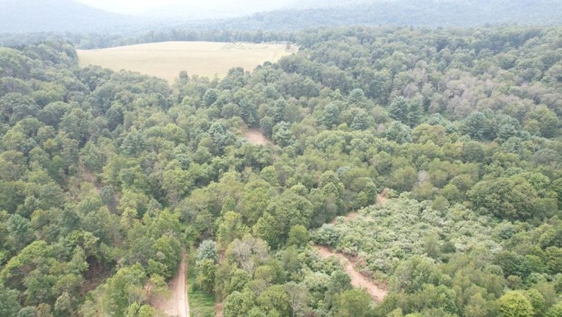 dji_fly_20250806_140942_598_1754530445278_photo