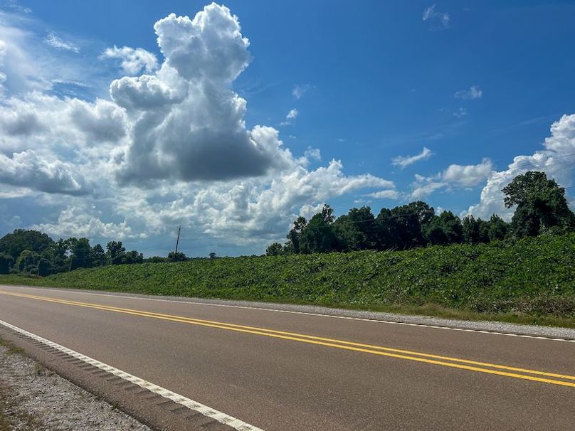 Yazoo Co - 7.3 - Hoffman-23