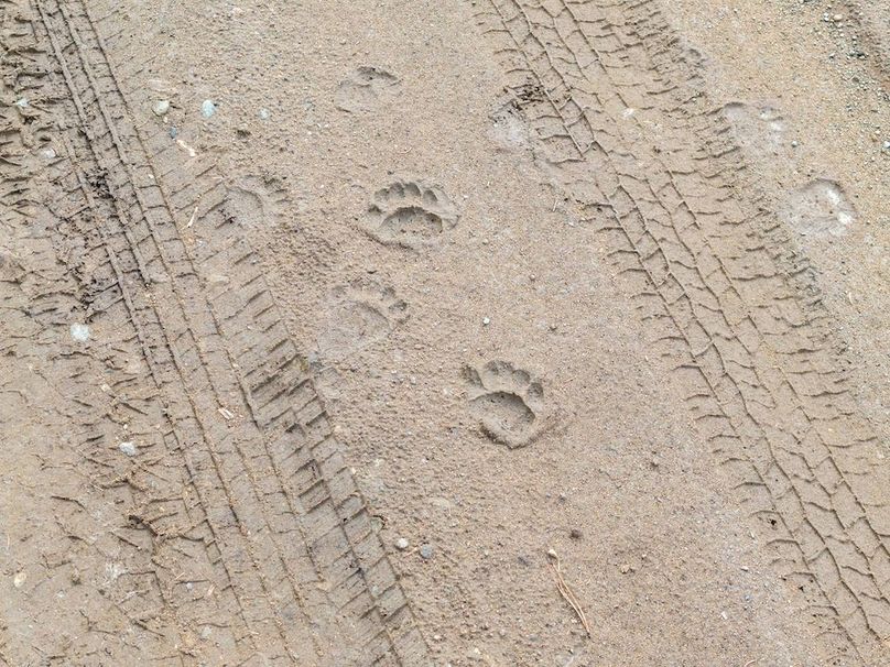 DJI_20250924104259_0097_D