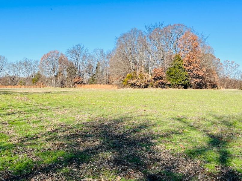 Copy of (9)Natural green