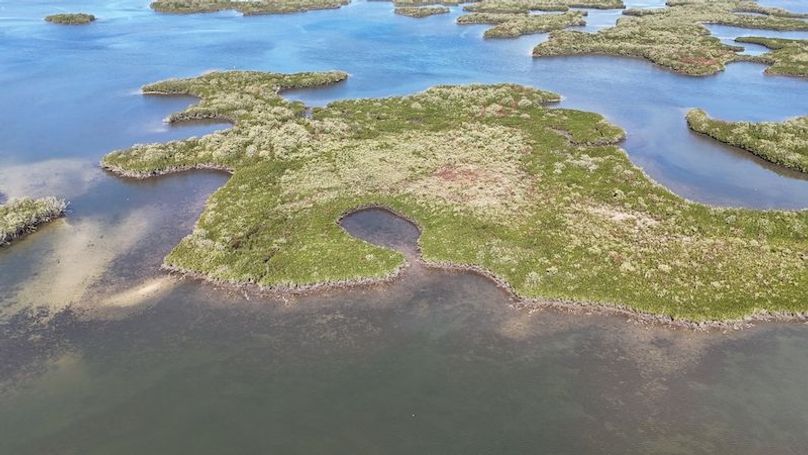 17.17ac, Citrus, Josiah Ronco13