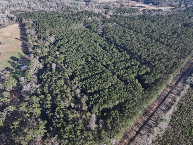 dji_fly_20260216_152210_0086_1771284233089_photo