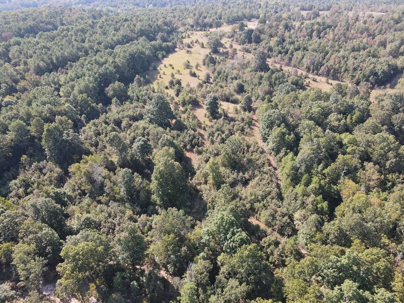 dji_fly_20250902_095420_723_1756824874372_photo