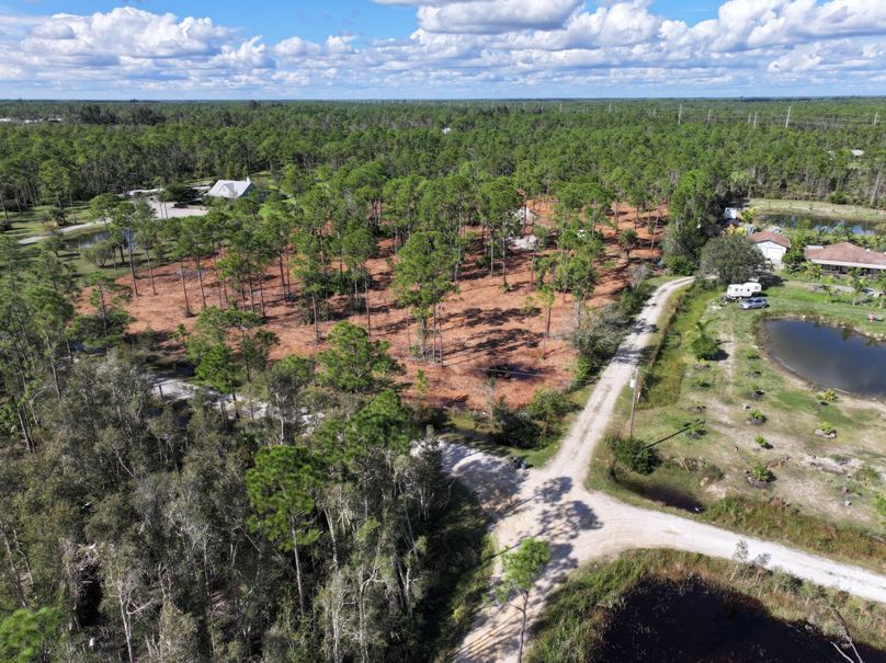 dji_fly_20231118_140858_0286_1700356594076_photo