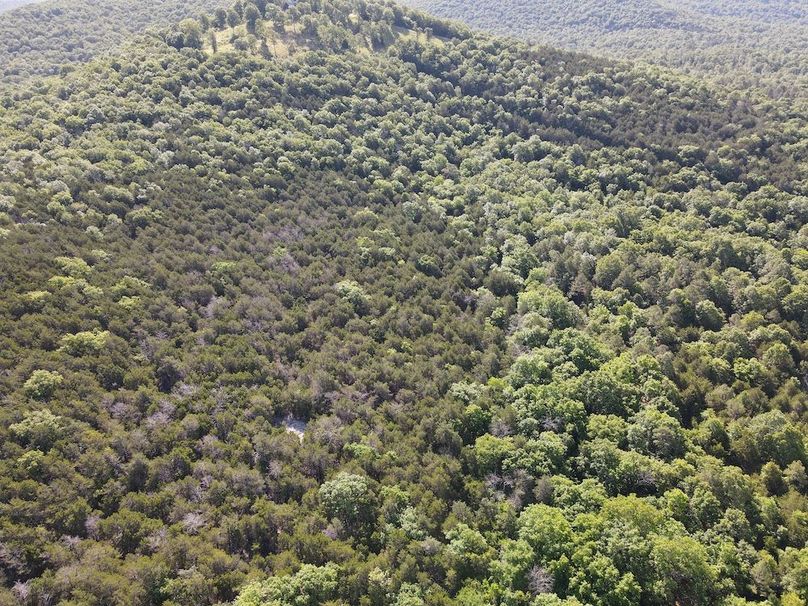 dji_fly_20260514_092516_765_1778768767228_photo