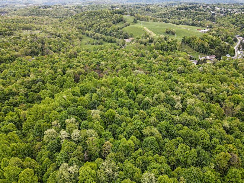 dji_fly_20240511_115512_96_1715443029487_photo