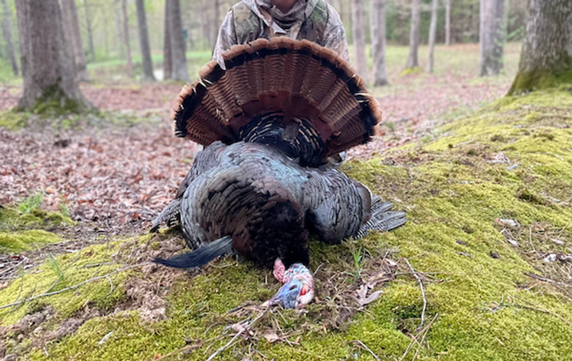 Screenshot 2026-03-02 at 9.57.04 AM