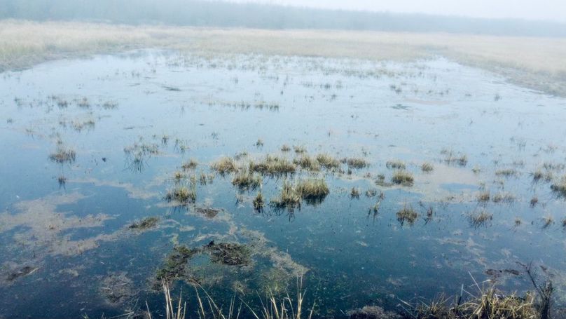 RemoteMediaFile_6554154_0_2022_12_30_14_16_42