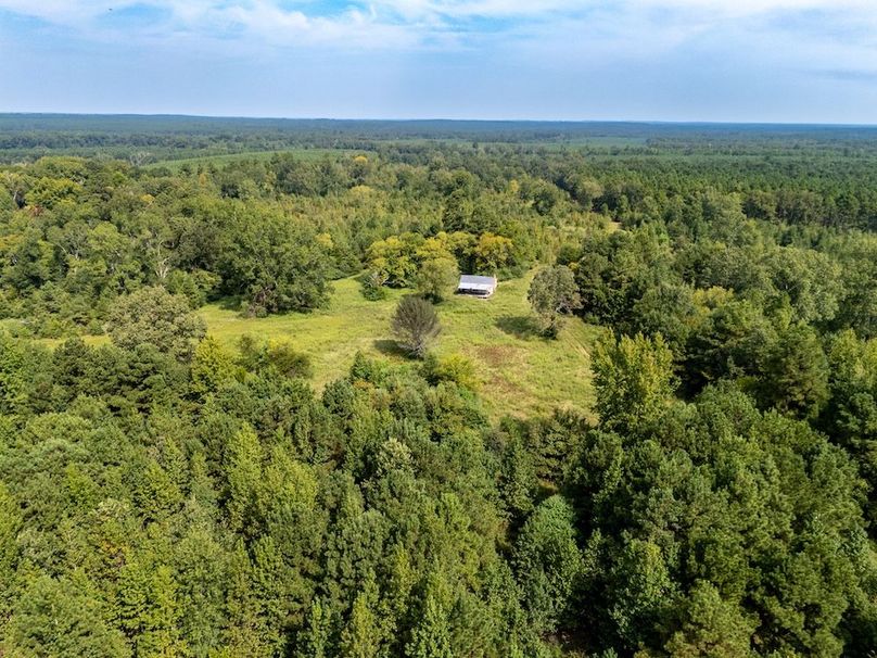 42 Edited Harison co. 206 - Ed Robb-019