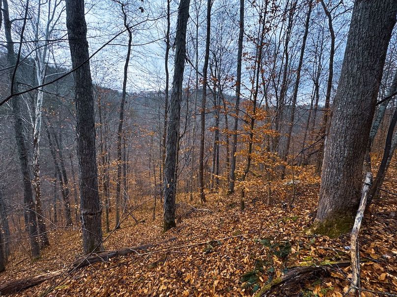 Ritchie, WV 100 AC Harper-21