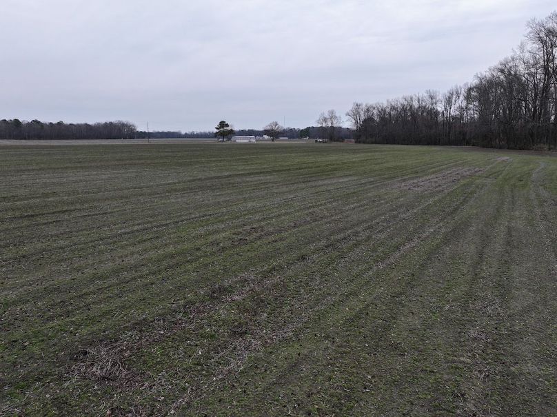 DJI_20260213134344_0512_D