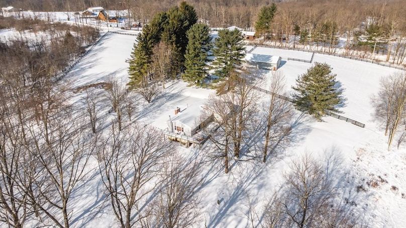 18-z 18408 Brushy013